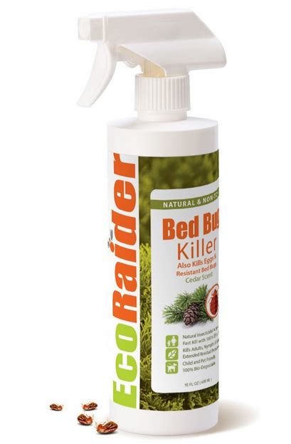 How Does Baking Soda Kill Bed Bugs? 4 Steps To Kill Bedbugs With Baking Soda From Entire Home ...