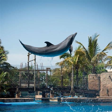 uShaka Marine World: latest fees, opening hours, animals, aquarium, photos