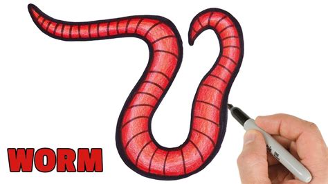 How to Draw and Color a Worm Easy | Step by step animals drawings - YouTube