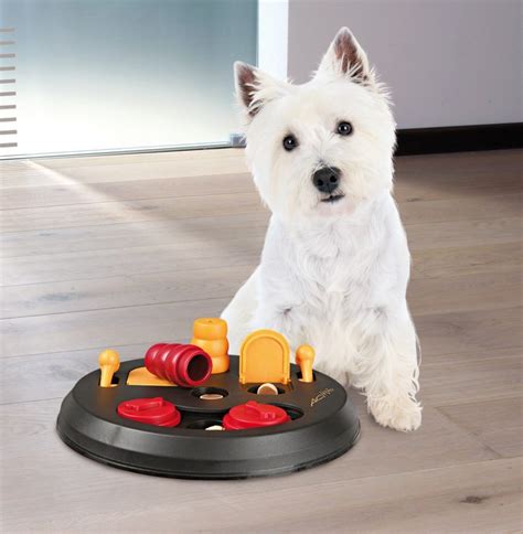 Best Interactive Dog Toys - Reviews and Tips To Help You Choose