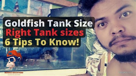 Goldfish Tank Size Guide: The right tank sizes for Quality goldfish ...