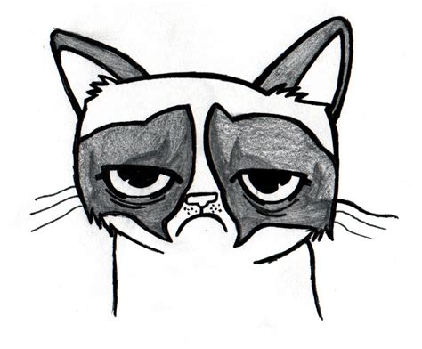 Grumpy Cat Drawing - ClipArt Best - ClipArt Best