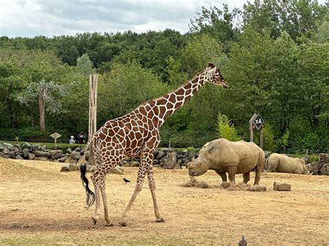 Colchester Zoo - Preneur World