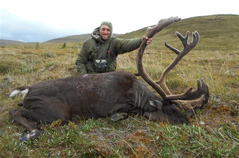 Alaska self-guided caribou hunts - 40 mile, Yukon-Charley, Tok