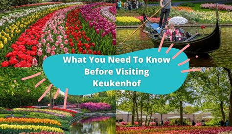 What You Need To Know Before Visiting Keukenhof - KKday Blog