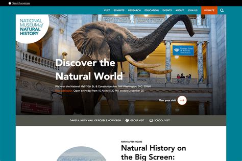 22 Best Museum Website Designs For Inspiration 2024 - Colorlib