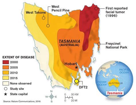 Tasmanian Devil Habitat Map