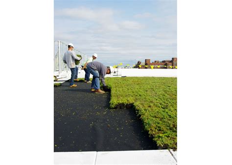 DeVry University, Chicago - Greenroofs.com