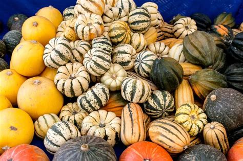 White Squash -- Pale in Color but Bursting with Flavor!