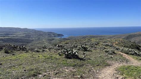 11 Catalina Island Hiking Trails to Enjoy - Go Travel California