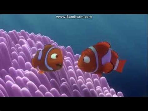 Finding Nemo opening scene - YouTube