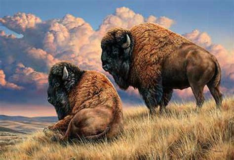 Rosemary Millette Prairie Monarch Bison Bufallo A/P Art Print ...