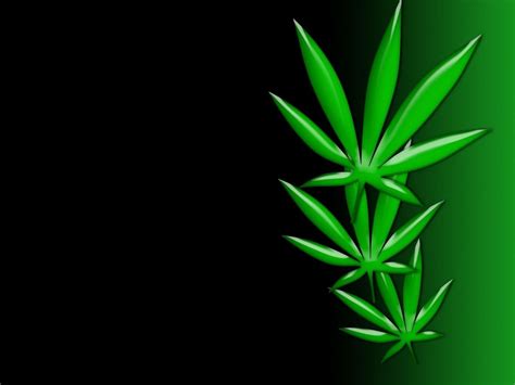 Weed Art Wallpapers on WallpaperDog