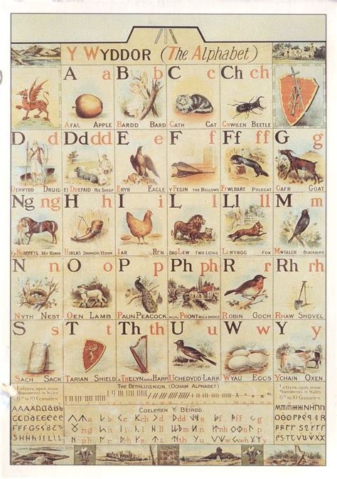 17 Best images about Welsh alphabet on Pinterest | The alphabet ...