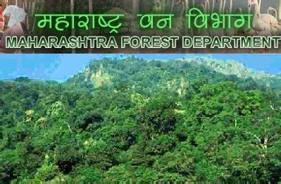 Maharashtra Forest Department Recruitment 2018 Apply Online mahaforest ...