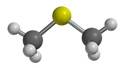 Dimethyl Sulfide Dot Structure