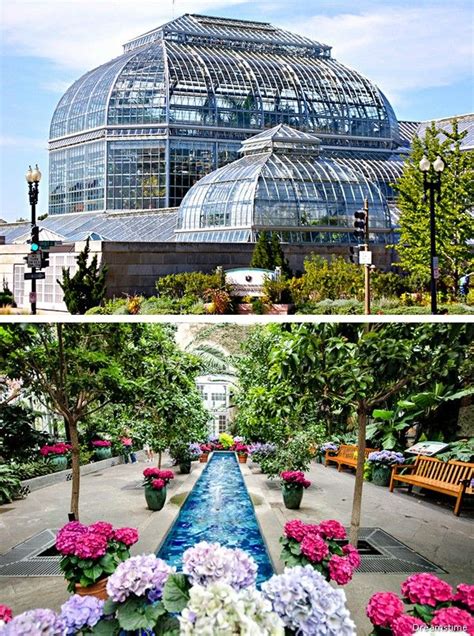 National Botanic Gardens Dc – Beautiful Flower Arrangements and Flower Gardens