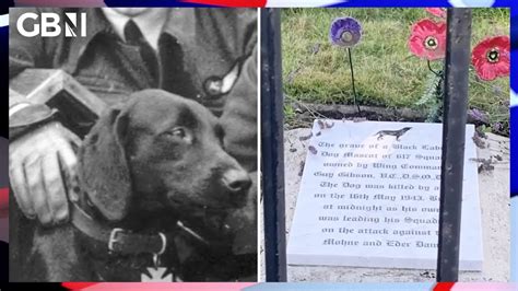 RAF fear they cannot protect Dambusters dog grave when asylum seekers move in - YouTube