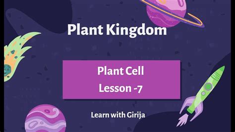 Plant Cell Lesson, Cells Lesson, Plant Cell Structure, Structure And Function, Cellular Level ...