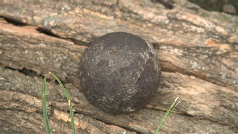 Civil War cannonball discovered lodged in a tree at historic Missouri house | Fox News