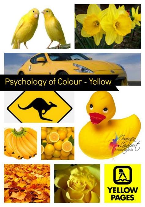 Psychology of Colour - Yellow | Color psychology, Yellow color, Color