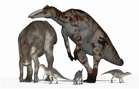 Anatotitan (aka Edmontosaurus annectens) by PaleoGuy on DeviantArt