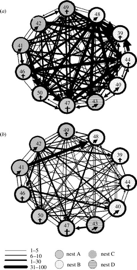 Sociogram displaying the total frequency of aggressive behaviour... | Download Scientific Diagram