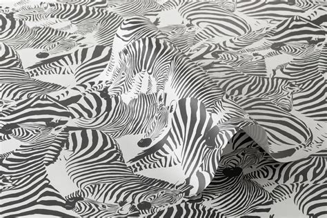 Real Zebra Print Wallpaper