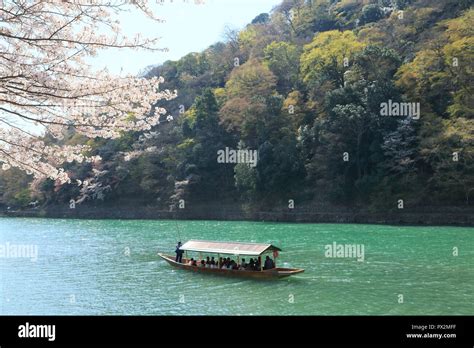 Cherry blossoms in Kyoto Arashiyama Stock Photo - Alamy