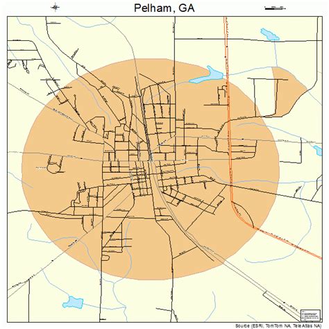 Pelham Georgia Street Map 1359976