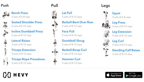 Push Pull Workout Routine Beginners | EOUA Blog