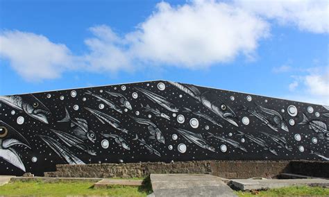 Artworks - DUNEDIN STREET ART in 2020 | Street art, Artwork, Art