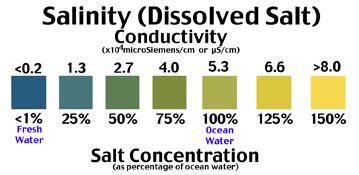 # 175 Salinity (Dissolved Salt) in Water - School Water Test Kits