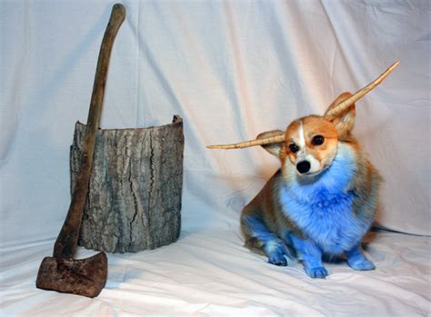 Lucy Says.: {5 Lovely Corgi Costumes on HALLOWEEN}