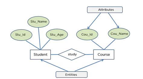 Entity Relationship and It's Components