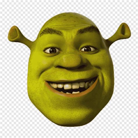 Shrek The Musical Princess Fiona Shrek 2 Shrek Film Series, shrek, face, food png | PNGEgg