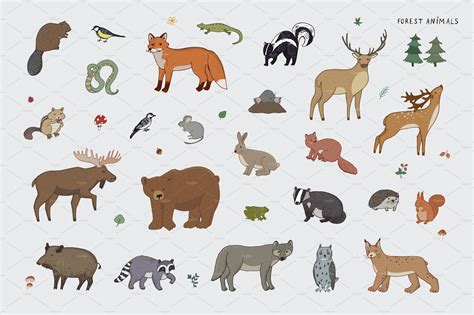 Forest Animals in 2020 | Forest animals illustration, Animal ...