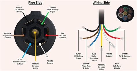 Curt 7 Way Plug Diagram Wiring Flow Line - Riset