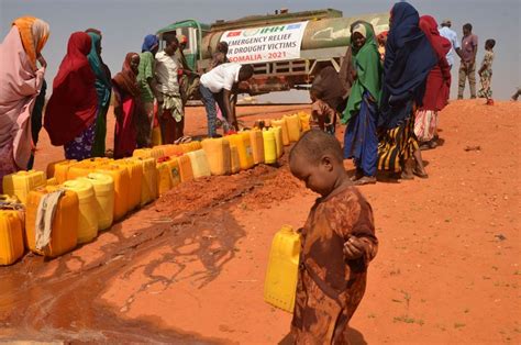 United Nations: Somalia’s deadly drought displaces over 2,000 more ...