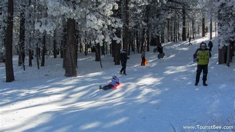 Frazier Park, California - Children and adults enjoying snow play at Chula Vista Campground near ...