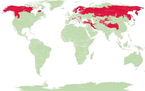 Bear Species Distribution Map