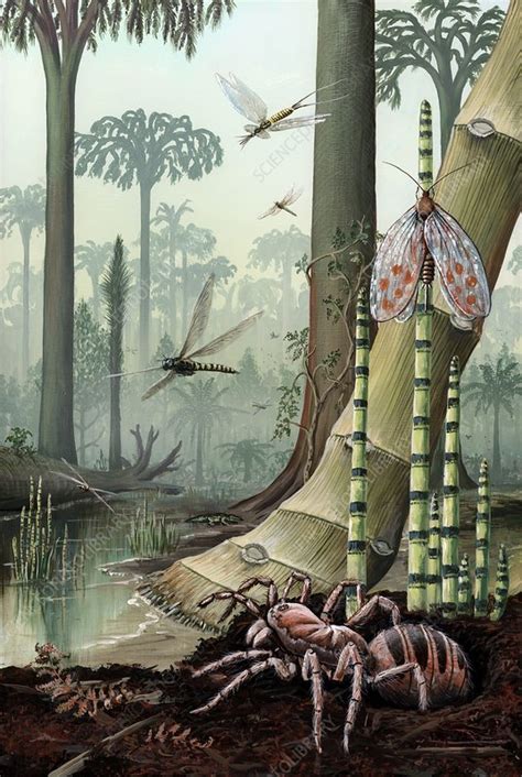 Carboniferous insects and swamp plants - Stock Image - C013/1013 - Science Photo Library