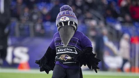 Watch: Ravens mascot, Poe, makes triumphant return off IR during ...