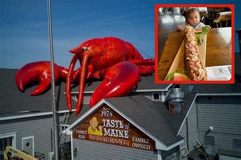 World's Largest Lobster Roll is Back at Taste of Maine This Month