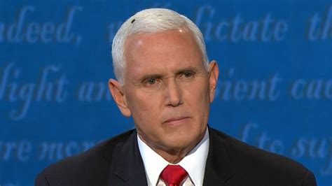 Mike Pence fly moment gets attention at vice presidential debate Video ...