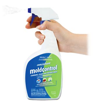 Mold: Bleach-free Option is Better for You and the Environment » The Money Pit