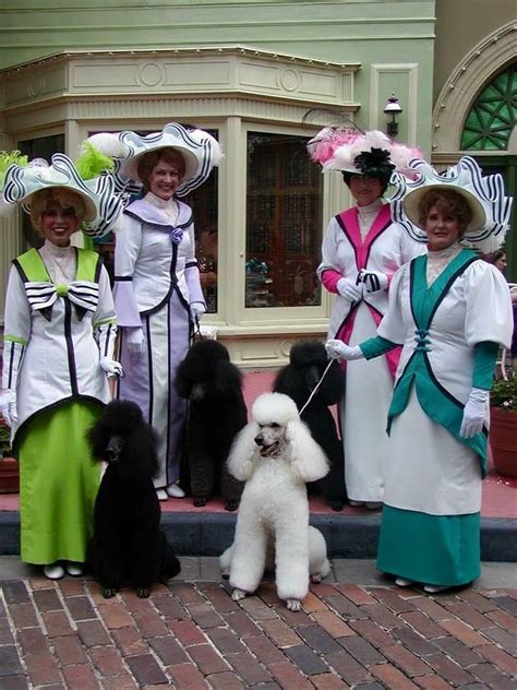 Disney's Magic Kingdom | Dog dye, Standard poodle, Poodle mix