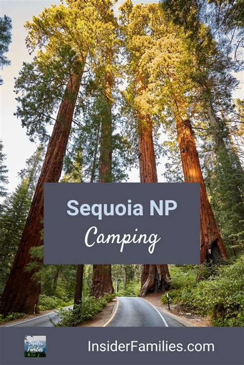 Sequoia National Park Camping | Insider Families