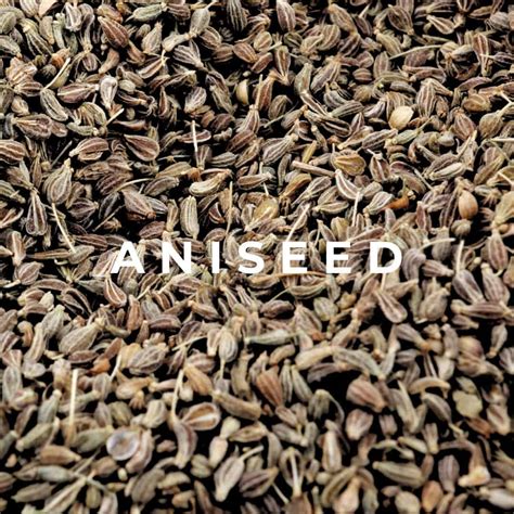 Aniseed Essential Oil - Aromatherapy Benefits Unveiled