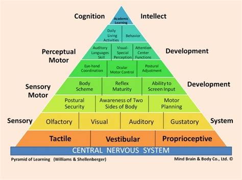 Empfehlungen | Emotional intelligence, Language skills, Sensory processing